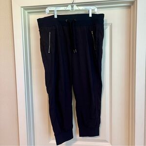 Athleta Trekkie North Crop Jogger Size 16 Lightweight Travel Hiking Pant